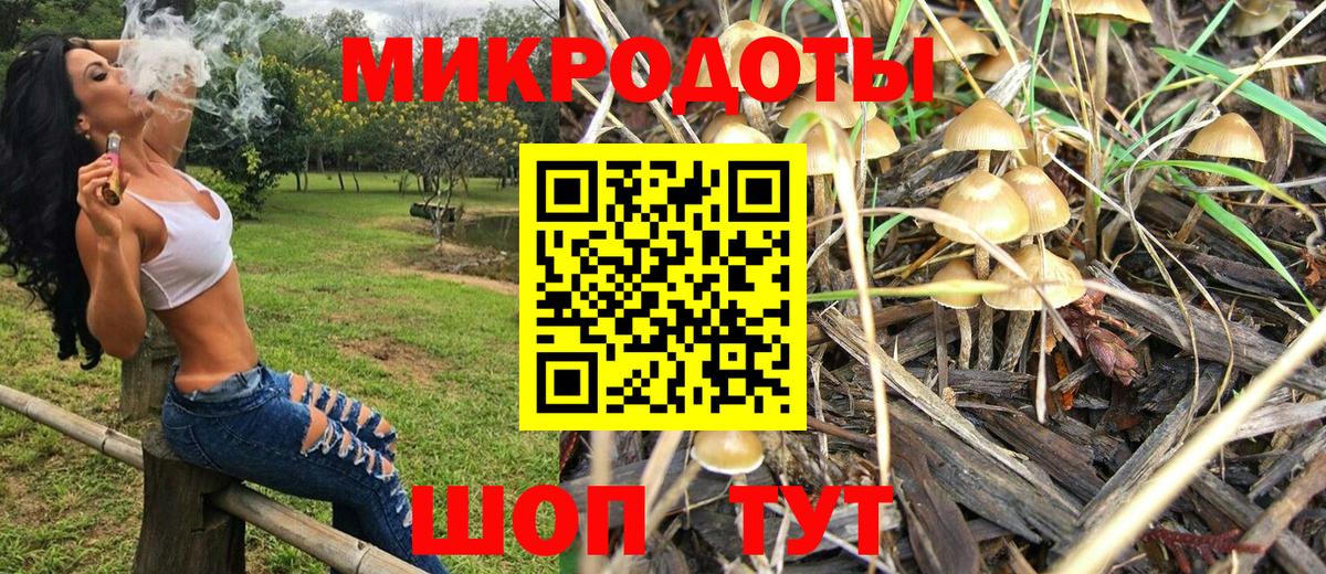 Псилоцибиновые грибы мухоморы Санкт-Петербург